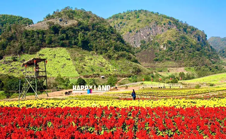 tour mai châu mộc châu 2 ngày 1 đêm tour mai châu mộc châu 2 ngày 1 đêm