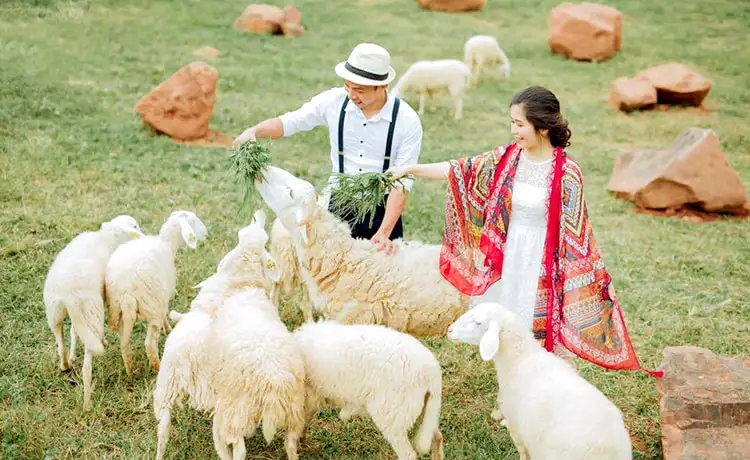 Khu du lịch Mộc Châu Happly Land