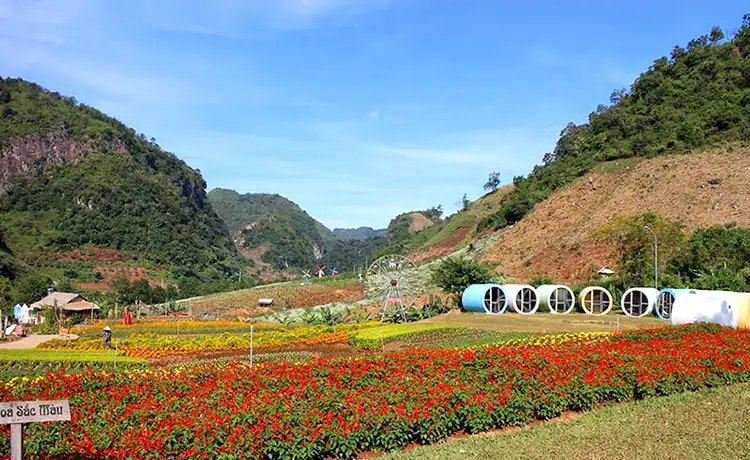 Khu du lịch Mộc Châu Happly Land