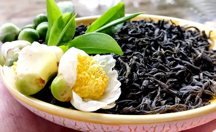 đặc sản chè mộc châu