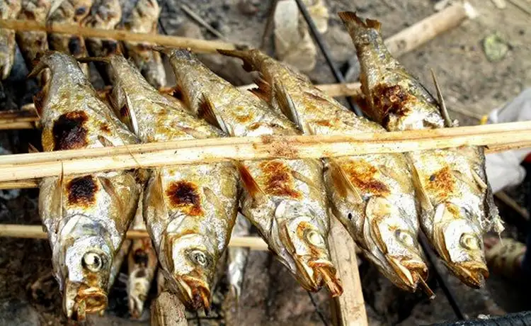 món cá suối mộc châu