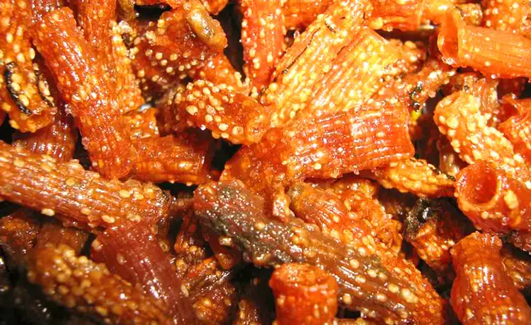 tour du lịch Cô Tô