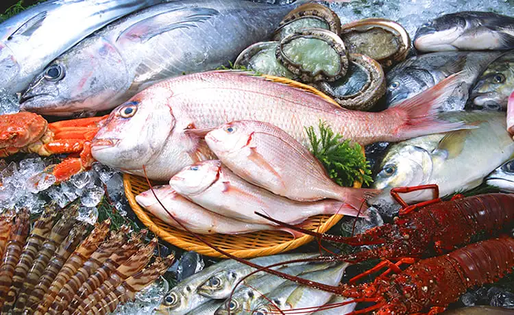 hải sản tươi nha trang