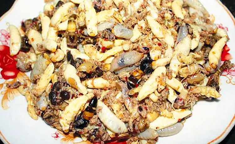 món ong rừng xào măng chua mai châu món ong rừng xào măng chua mai châu