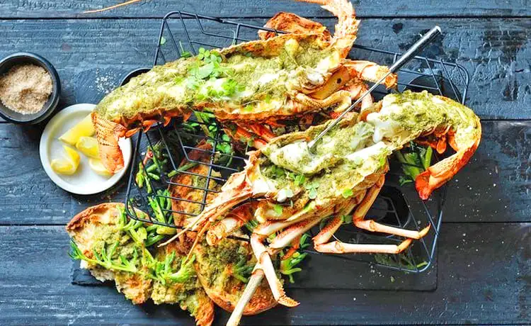 món ngon tôm hùm nướng nha trang