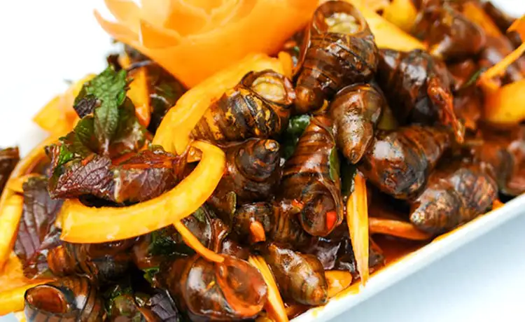 món đặc sản ốc xào tương vịnh hạ long