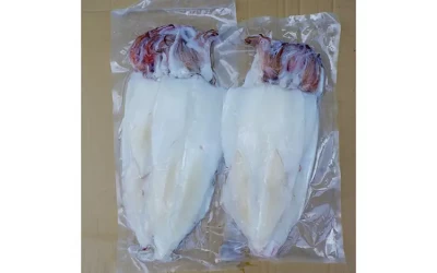 Mực một nắng Côn Đảo