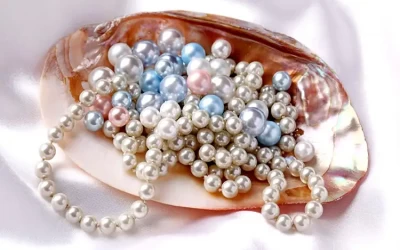 Ngọc Trai  Phú Quốc mua làm quà