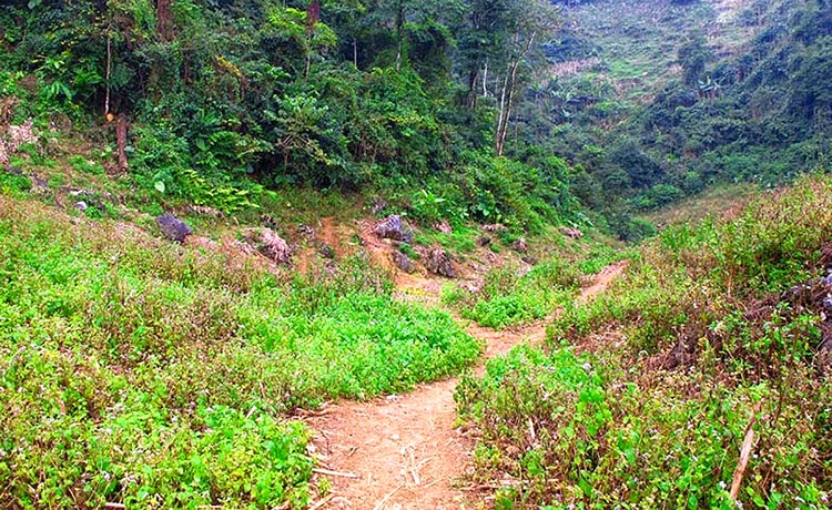 Ngũ Động Bản Ôn Mộc Châu