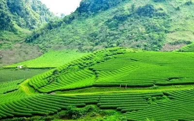 Ngũ Động Bản Ôn Mộc Châu - Điểm đến Mộc Châu