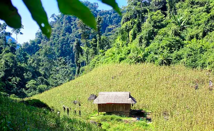 Ngũ Động Bản Ôn Mộc Châu