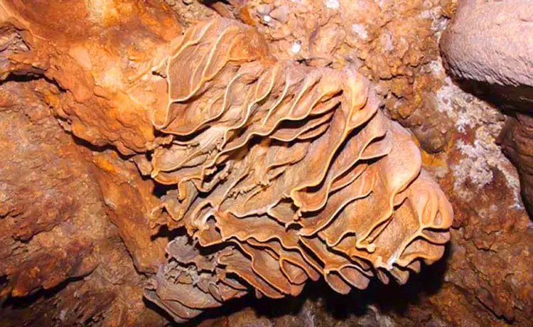 Ngũ Động Bản Ôn Mộc Châu