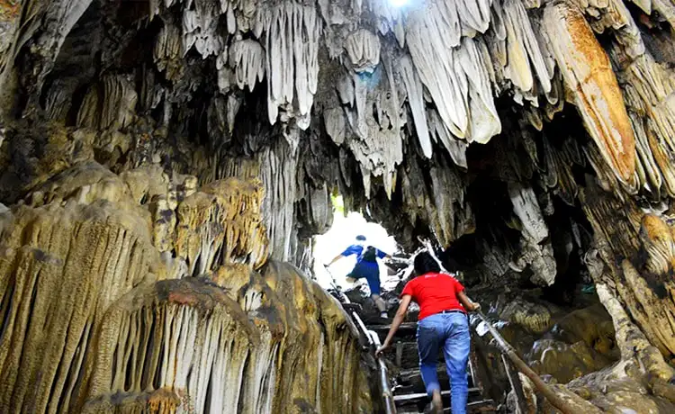 Ngũ Động Bản Ôn Mộc Châu