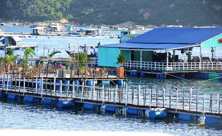 nhà bè tôm hùm bình ba