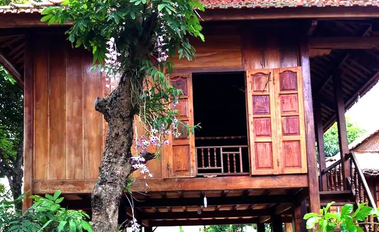 tour mai châu mộc châu 2 ngày 1 đêm tour mai châu mộc châu 2 ngày 1 đêm