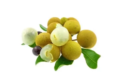 Nhãn Châu Thành - Đặc sản Đồng Tháp