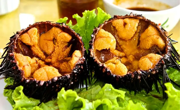 nhum đảo bình hưng