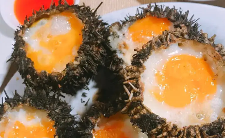 nhum biển đặc sản cô tô