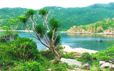 Ninh Hải - Điểm đến Ninh Thuận