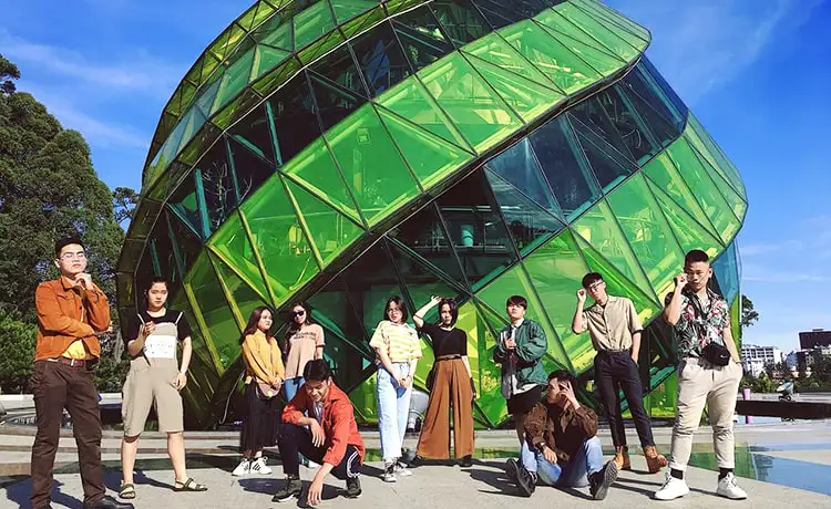 nụ hoa atiso quảng trường lâm viên đà lạt