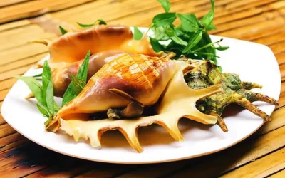 Ốc bàn tay - Đặc sản Côn Đảo