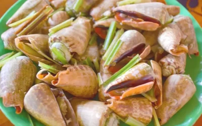 Ốc nhảy Phú Quý