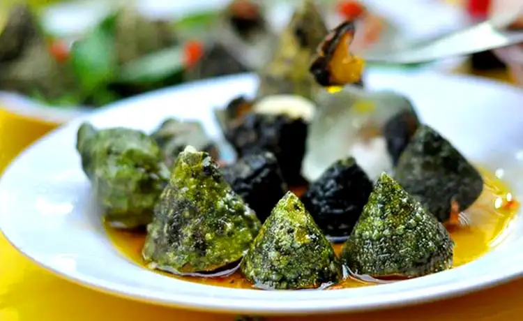 các loại ốc đảo bình hưng