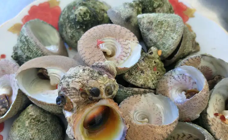 Tour du lịch Cù Lao Chàm