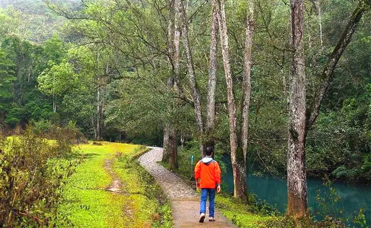 tour hà giang 6 ngày 5 đêm tour hà giang 6 ngày 5 đêm