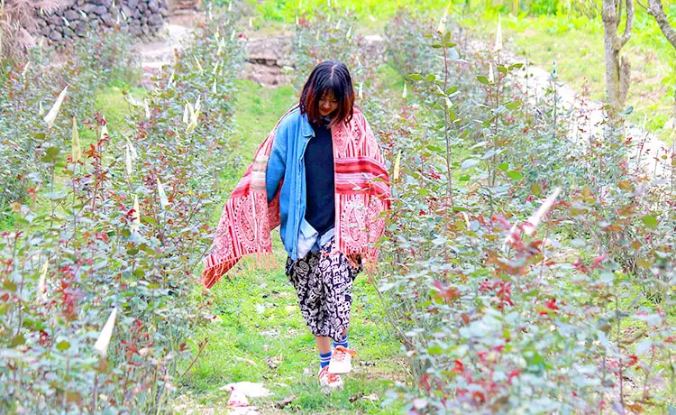 phó bảng hà giang phó bảng hà giang