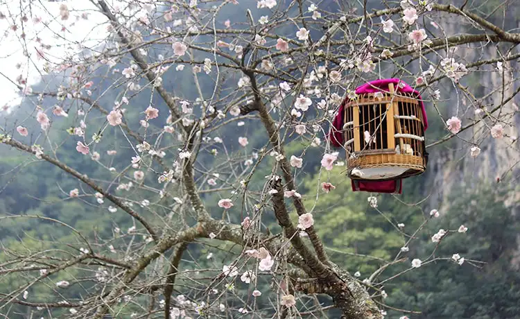 phố cổ đồng đồng văn hà giang phố cổ đồng đồng văn hà giang