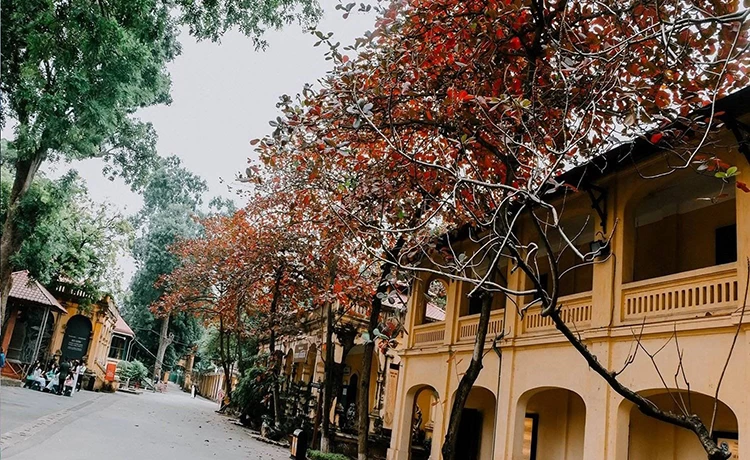 tour hà nội vịnh hạ long sapa 4 ngày 3 đêm