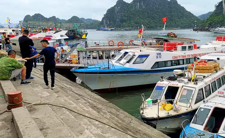 tour du lịch Cô Tô