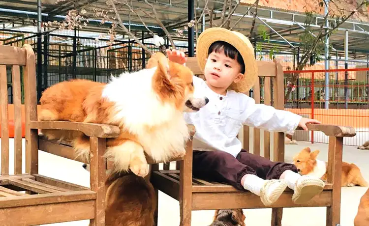 Black Rock Garden Coffee Đà Lạt