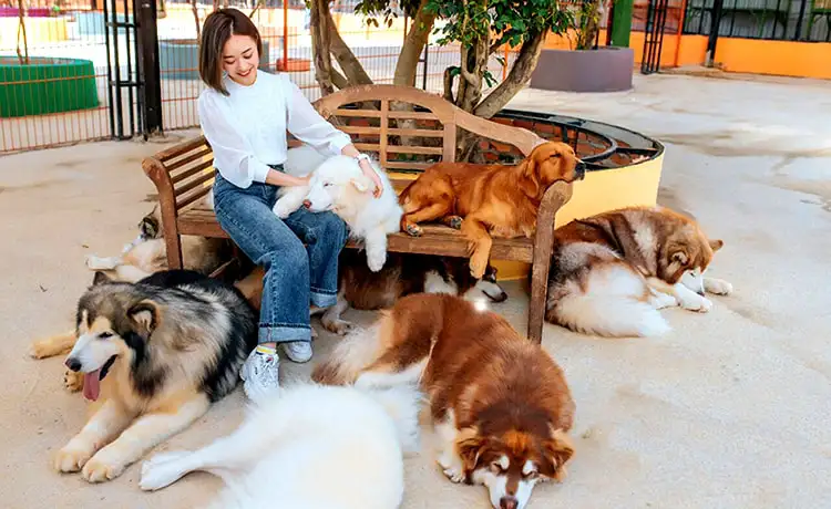 Black Rock Garden Coffee Đà Lạt