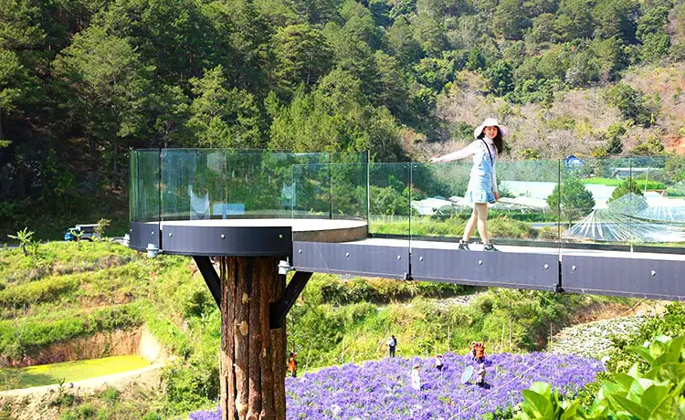 Quán cafe F Đà Lạt