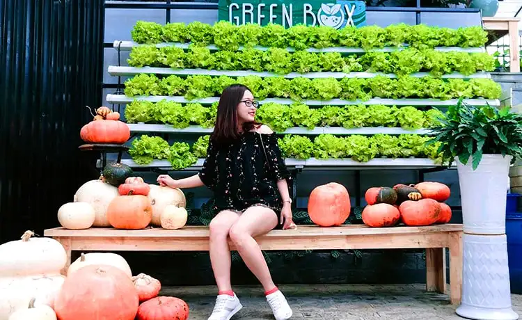 Quán Green Box Cafe Đà Lạt