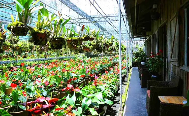 Home Cafe Đà Lạt