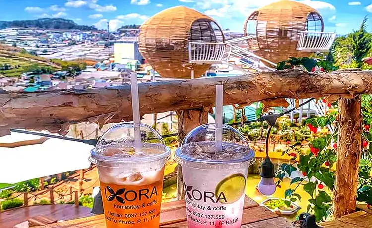 tour đồi chè cầu đất farm đà lạt 1 ngày tour đồi chè cầu đất farm đà lạt 1 ngày