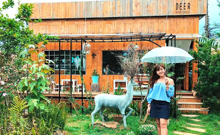 Quán cafe đẹp Đà Lạt The Deer in the forest