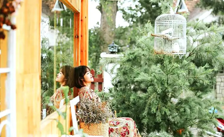 Quán cafe đẹp Đà Lạt The Deer in the forest