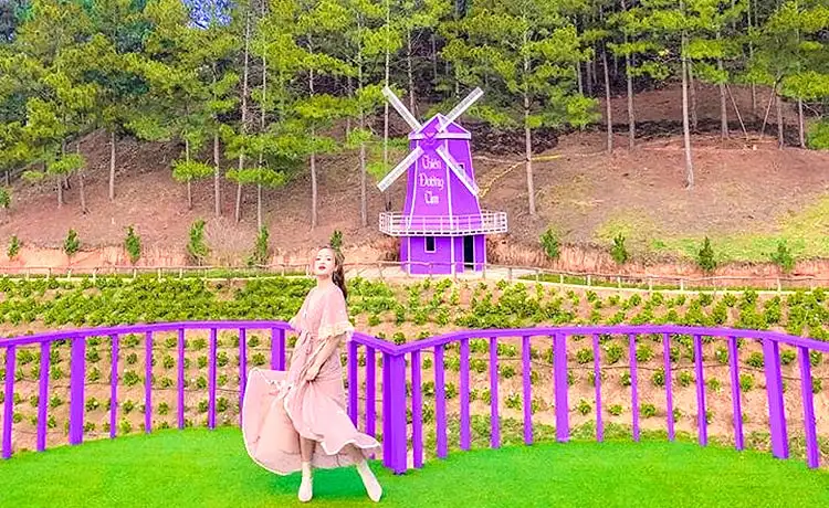 Quán Cafe Thiên Đường Tím Đà Lạt