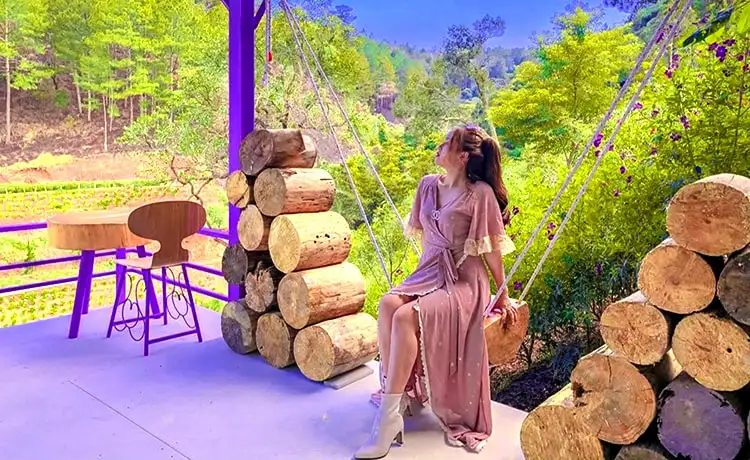 Quán Cafe Thiên Đường Tím Đà Lạt