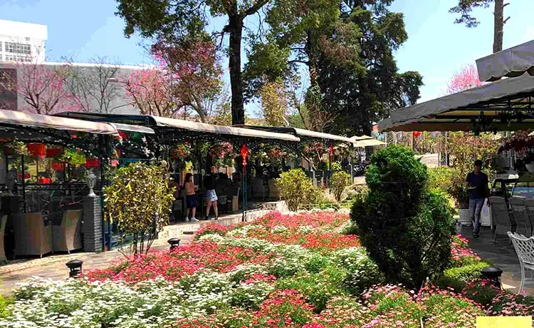 Quán cafe Thiên Thanh Đà Lạt