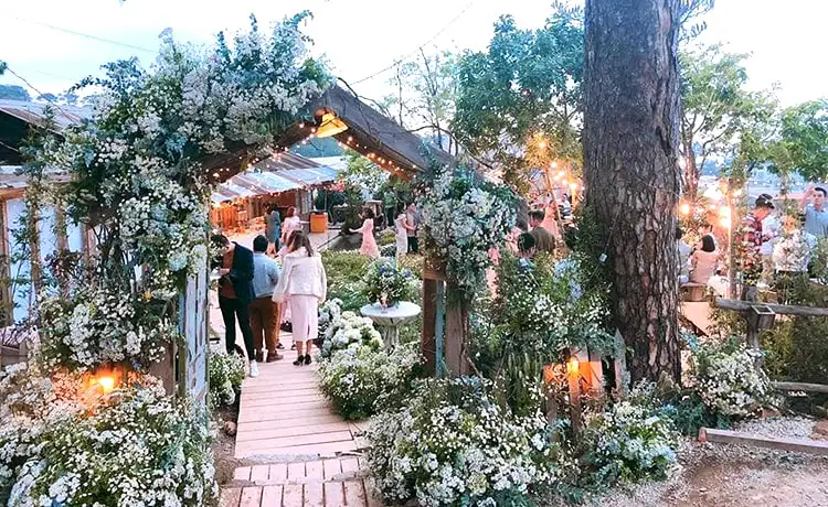 Tiệm cafe Túi Mơ To Đà Lạt