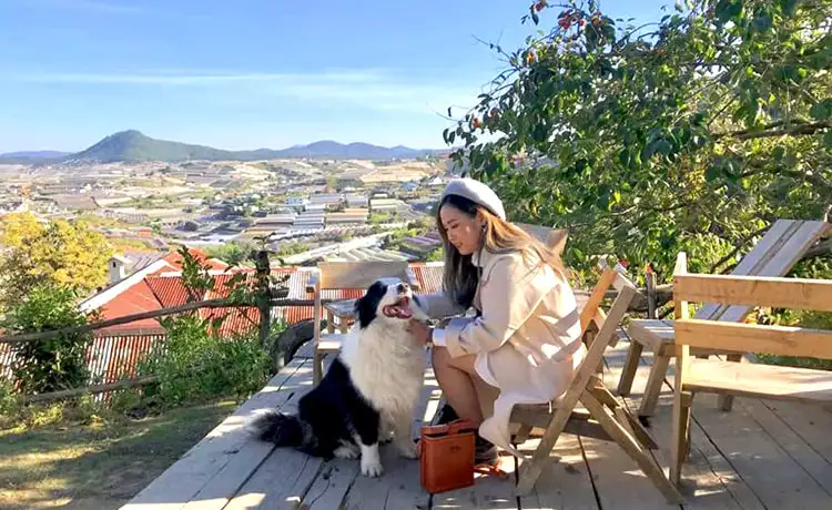 Tiệm cafe Túi Mơ To Đà Lạt