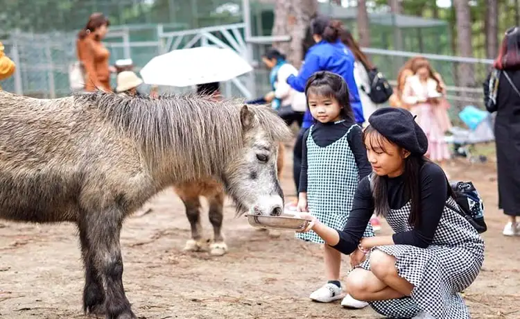 Zoo Doo cofee Đà Lạt