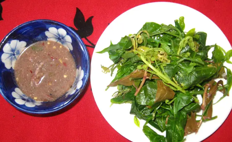 rau rừng cù lao chàm