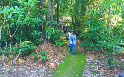 Rừng Chàng Riệc - Địa Điểm Du Lịch Tây Ninh