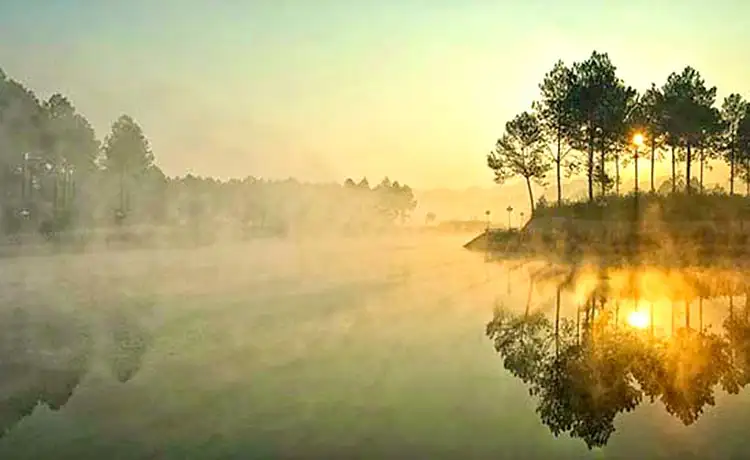 Rừng thông Bản Áng Mộc Châu